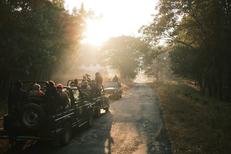 A group of tourists in jeeps explore a safari at sunrise, surrounded by nature.