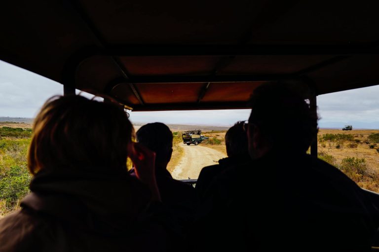Group of tourists on a safari, observing wildlife in open terrain under a protective canopy.