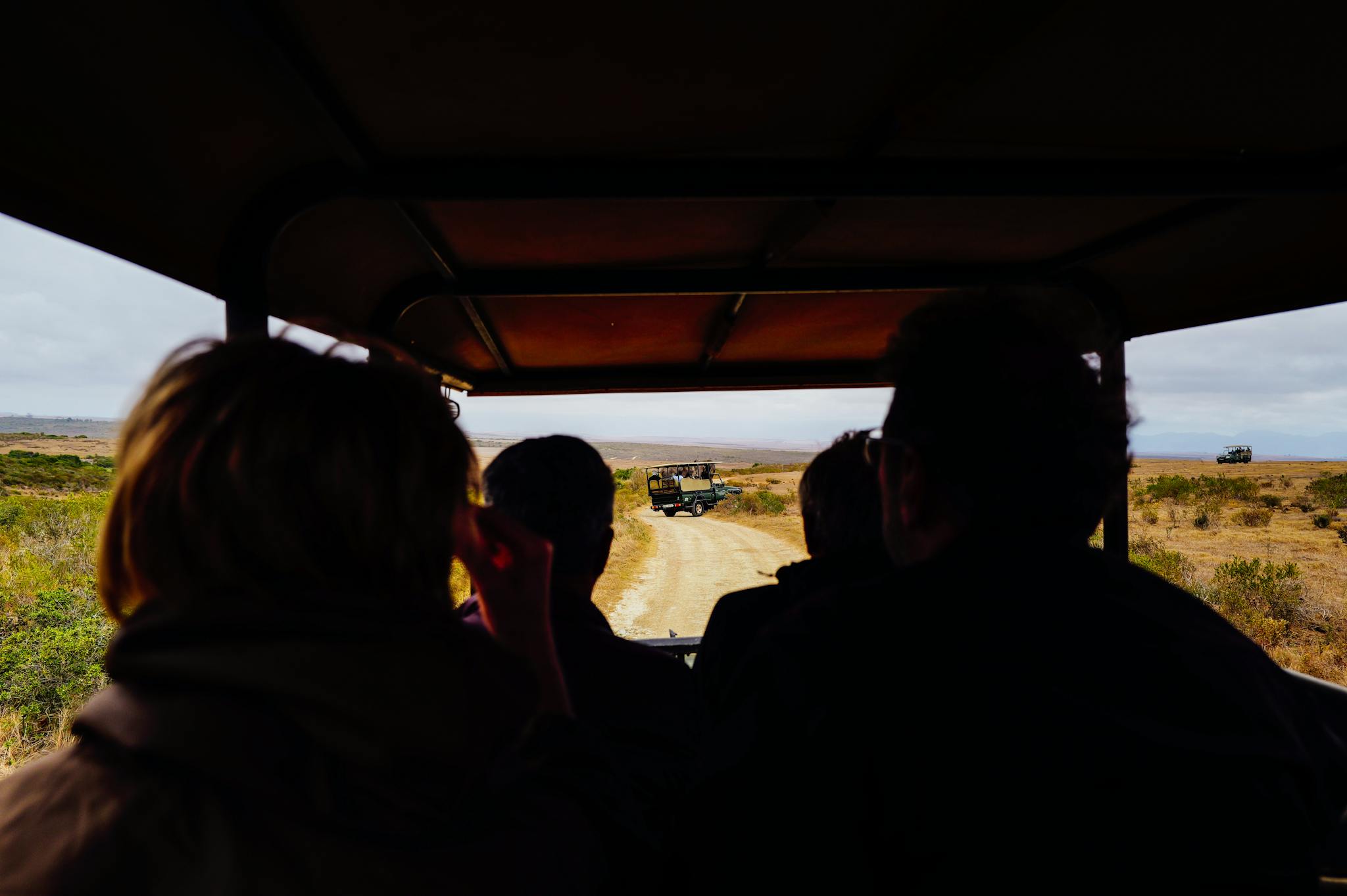 Group of tourists on a safari, observing wildlife in open terrain under a protective canopy.