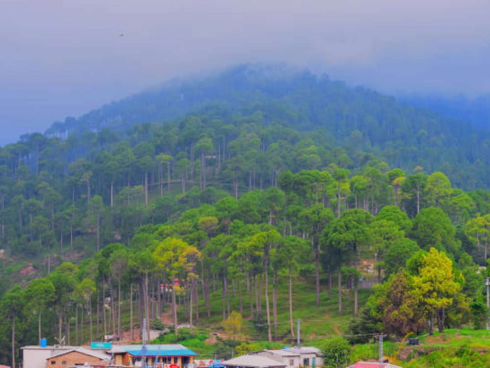 Murree (Punjabi, Urdu: مری‎, marī, meaning "apex"[2]) is a mountain resort town, located in the Galyat region of the Pir Panjal Range, within the Rawalpindi District of Punjab, Pakistan.