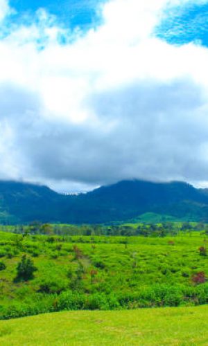 Grassy Field and Rolling Hills. Rural Scenery. Idyllic Mountain Landscape with Blue Sky and White Clouds