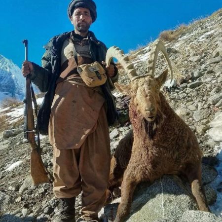 WhatsApp Image 2025-02-12 at 11.43.16 PM