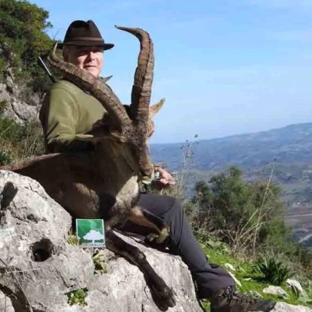 ibex